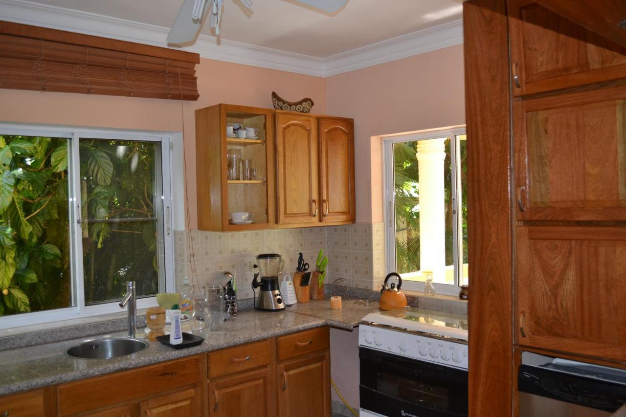 4 Bedroom Villa, Security, Private Pool, Ocean View Сосуа Екстер'єр фото